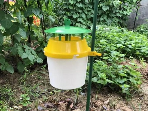 草地贪夜蛾诱捕器
