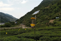 云飞自清虫太阳能杀虫灯为五峰茶出口欧盟提供