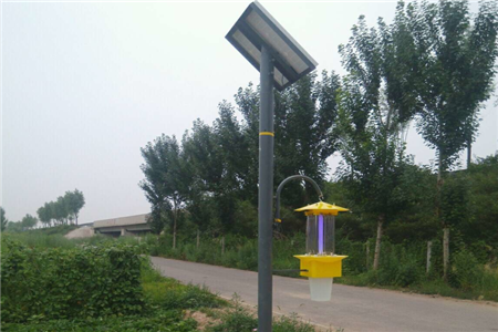 频振式太阳能杀虫灯