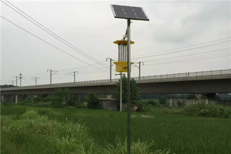 频振式太阳能杀虫灯