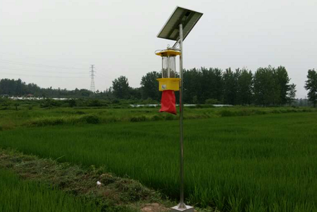 太阳能杀虫灯