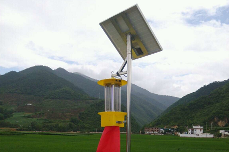 交流电杀虫灯