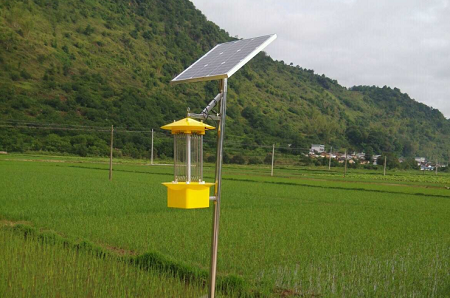 太阳能杀虫灯