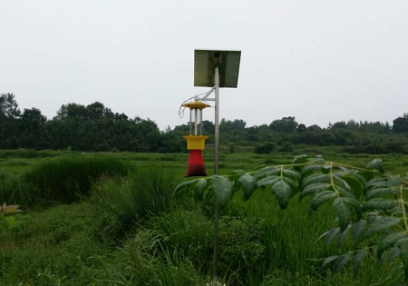 杀虫灯